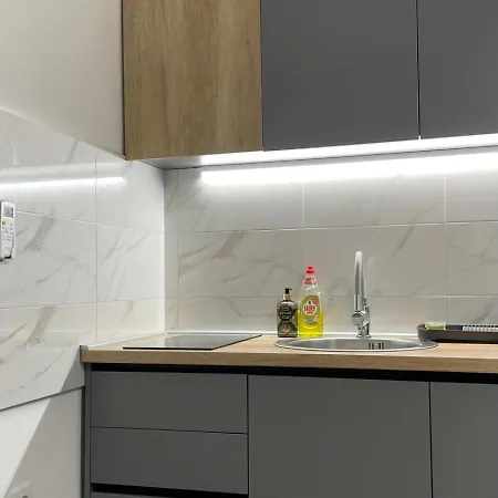 Sokostar Apartment Sokobanja