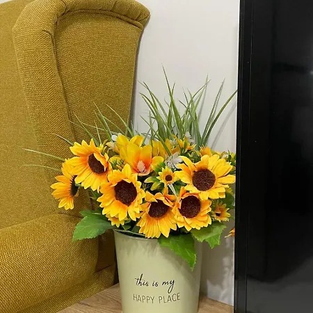 Apartment Sokostar Sokobanja