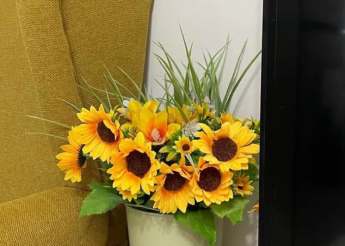 Daire Sokostar Soko Banja