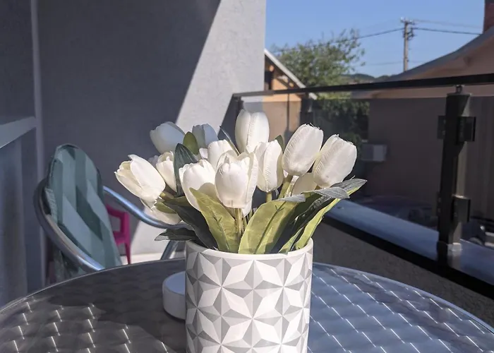 Daire Sokostar Soko Banja